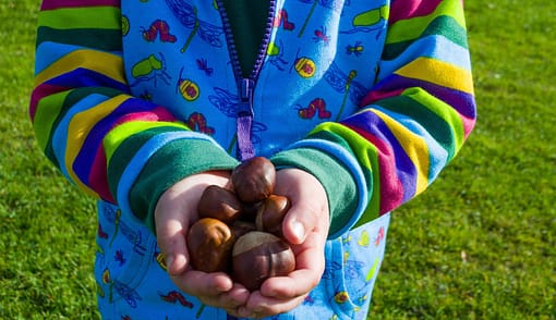 Gecko organic cotton Mini Beast adventure hoody - Image 5
