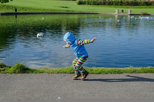 Gecko organic cotton Mini Beast adventure hoody - Image 3