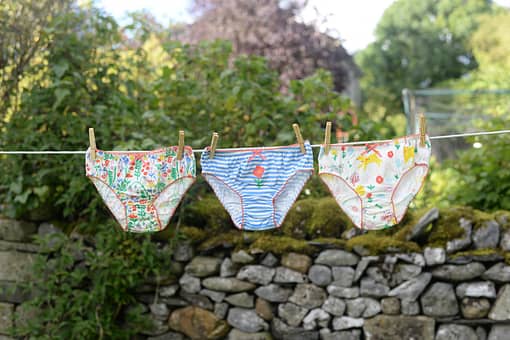 Piccalilly ~ Girls organic knickers in Dogs day | Meadow | Stripe - 3 pack (3-4 years)