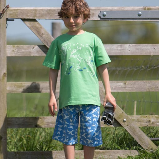 Migrating turtle short sleeve t-shirt by Kite in organic cotton - Image 3