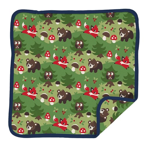Maxomorra cushion forest