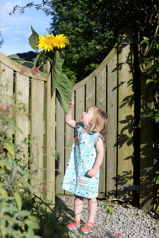 Sausage dog dress by Piccalilly on blue organic cotton - Image 5