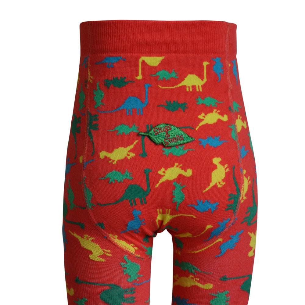 Dinosaur tights best sale