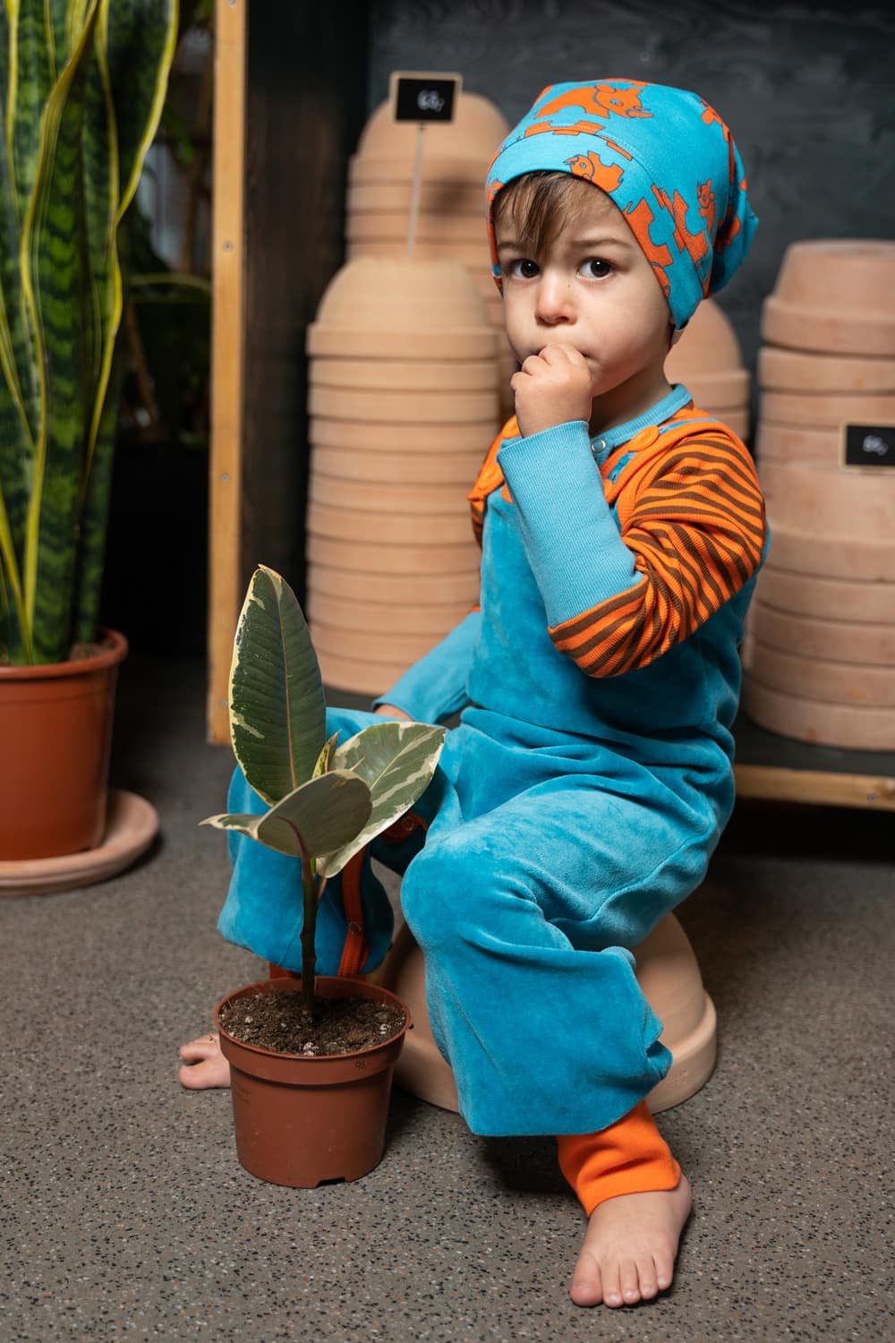 Alba of Denmark pointed hood hat in rhinoceros print | Age 2-4 3 Alba Barrier Reef velour happy crawlers